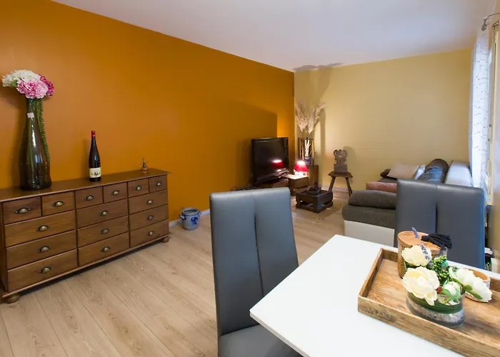 Le St Josse Confort A * Colmar